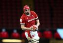IMPACT: Cory Hill shone as a sub for Wales against England