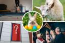 Lots of Easter activities to keep your family happy this bank holiday  weekend