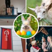 Lots of Easter activities to keep your family happy this bank holiday  weekend
