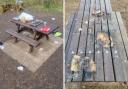 Benches were burnt by disposable barbecues used at Cosmeston Lakes Country Park. Litter was also left behind. Pictures: Vale of Glamorgan Council