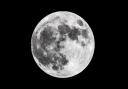 The March full moon, known as the Worm Moon will appear in the sky this week