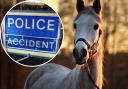 Overall, a total of 289 equine related road incidents and three horse fatalities were logged in Wales and the Channel Islands in 2022
