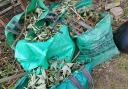 New charges are to be introduced for green house waste collection