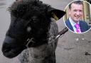 Alun Cairns is presented with a sheep