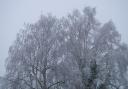 Snow: updates on travel disruption, traffic and school closures