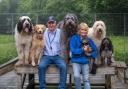 Many Tears owners Sylvia and Bill Vanatta have been faced with a monumental task of caring for 105 new dogs that came into their care in the space of a week