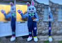 Alan will be dressing up as the Easter bunny for his Evri deliveries
