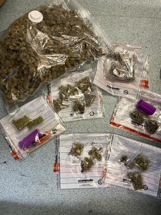 Barry And District News: South Wales Police claim the seized cannabis has a street value of £10K (Picture: South Wales Police)