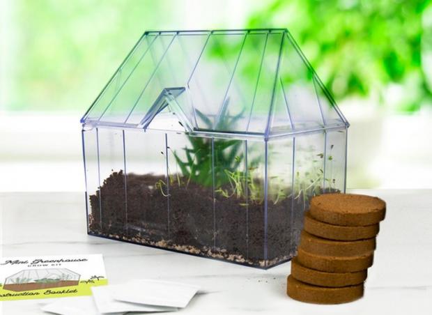 Barry And District News: Mini Greenhouse Kit (Moonpig)