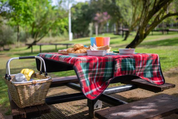 Barry And District News: A picnic laid out on a bench. Credit: Canva