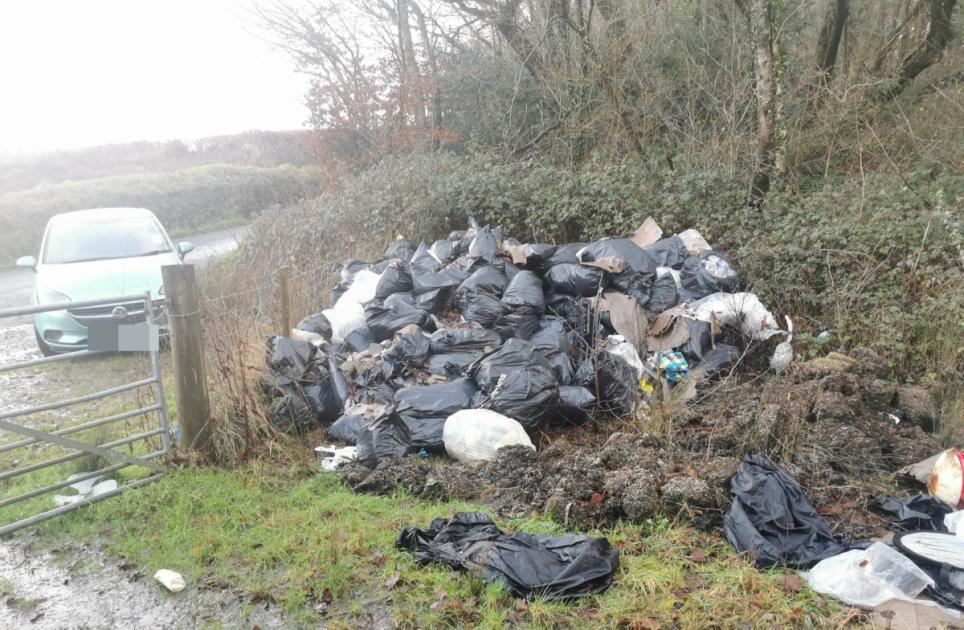Vale Council deal with fly-tipping everyday since November | Barry ... 