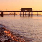 Lesley Lawrence captured this early morning swimmer in Penarth