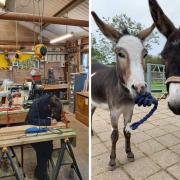 L: Some of the young people on the GROW programme. R: Donkeys Madoc and Merlin at Amelia Trust Farm.