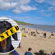 Three people were fined for refusing to take their dogs off the beach at Barry over the bank holiday weekend