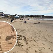See the photos as a giant mural appears on Whitmore Bay beach