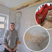 Emma Magrin needs the damp in her home fixed for the sake of her son's health