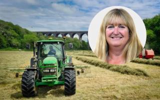 Wales Climate Change Minister Julie James refused to be drawn on the future of Model Farm while giving evidence to the Welsh Affairs Committee in the House of Commons.