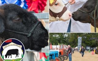 The county show takes place tomorrow